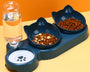 Ergonomic 3-in-1 cat and dog food and water bowl set with gravity water dispenser, promoting comfort and healthy posture