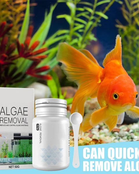 Automatic Algae & Moss Remover for Aquariums and Ponds – Clear Water, Safe for Fish