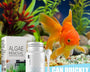 Automatic Algae & Moss Remover for Aquariums and Ponds – Clear Water, Safe for Fish