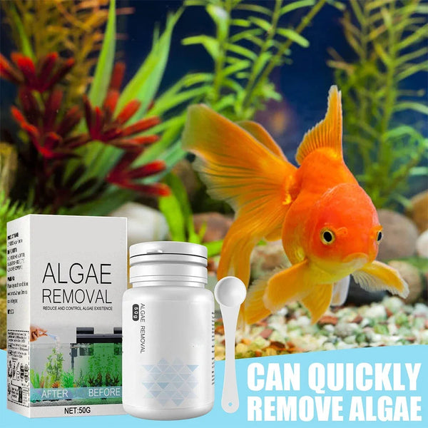 Automatic Algae & Moss Remover for Aquariums and Ponds – Clear Water, Safe for Fish