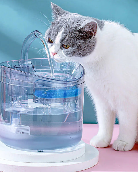 Automatic pet water fountain for cats and dogs, motion sensor activated