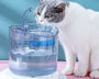 Automatic pet water fountain for cats and dogs, motion sensor activated