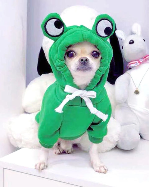Green frog dog sweater hoodie for small and medium dogs – soft, cozy, and stylish pet clothing