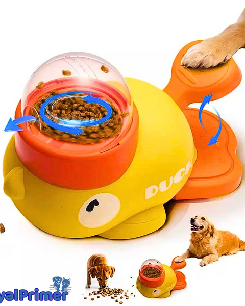 SnackPlay