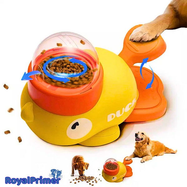 SnackPlay