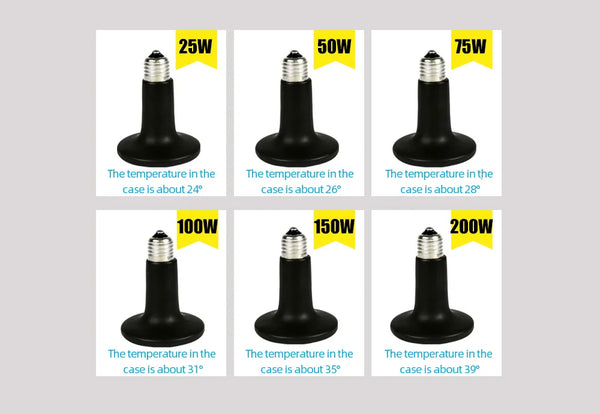 ReptilTerra Infrared Lamp