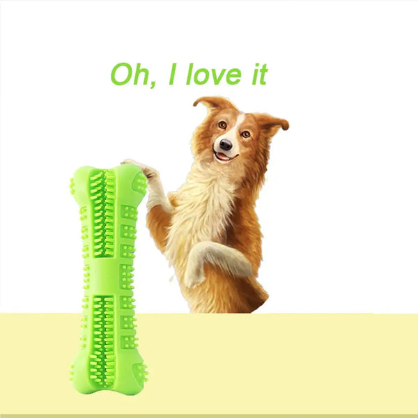 Denticlean – Healthy teeth, playful fun!