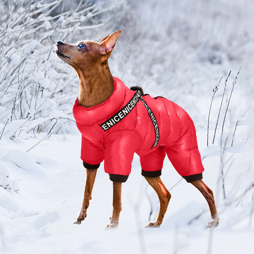 Thermora – Dog Jacket with Harness