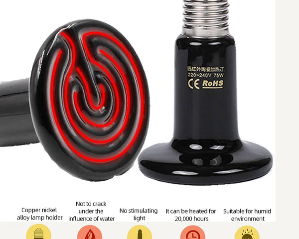 ReptilTerra Infrared Lamp