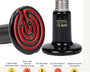 ReptilTerra Infrared Lamp