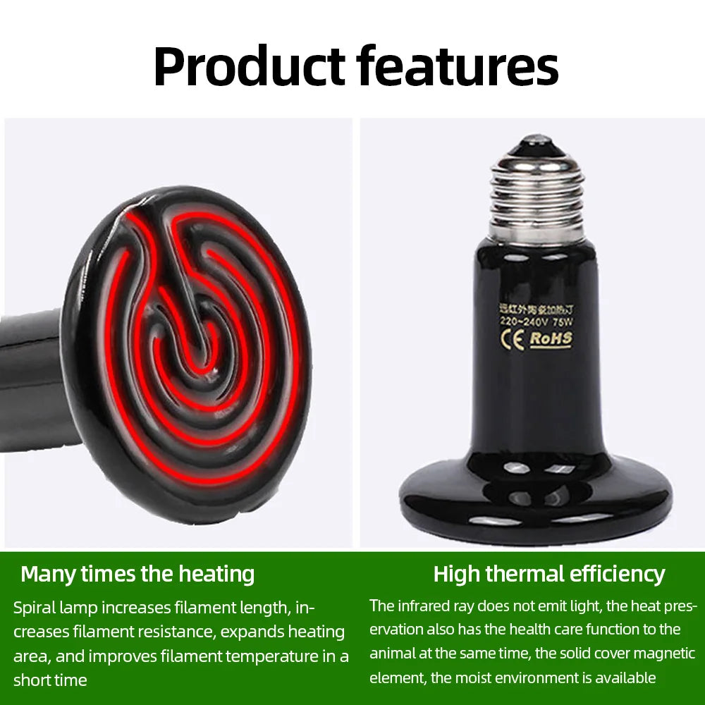 ReptilTerra Infrared Lamp
