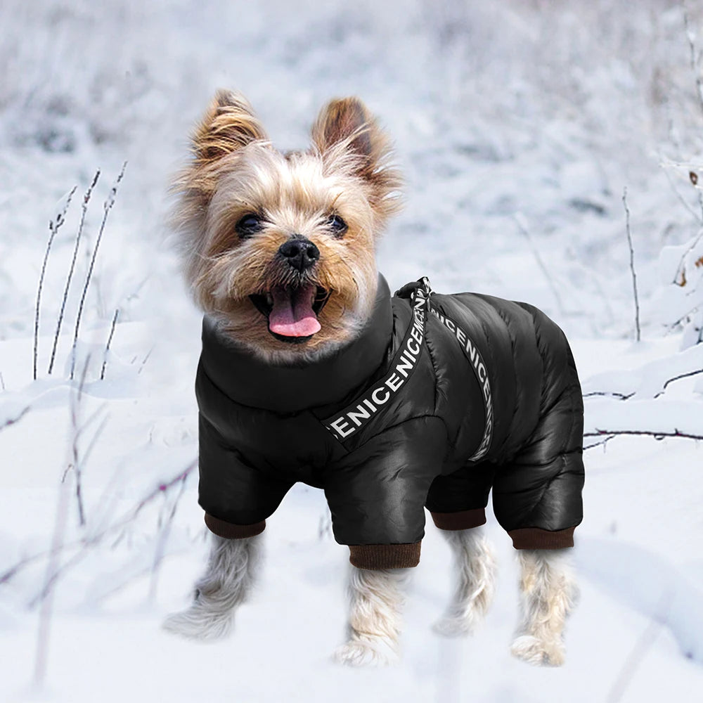 Thermora – Dog Jacket with Harness