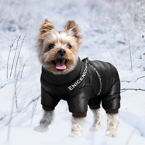 Thermora – Dog Jacket with Harness
