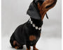 Starlight Pet Necklace