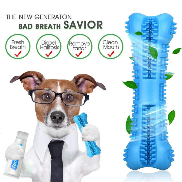 Denticlean – Healthy teeth, playful fun!