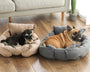 3-in-1 soft cotton pet bed for dogs and cats that works as a bed, sofa, or nest providing breathable comfort, stress relief, and cozy sleep support