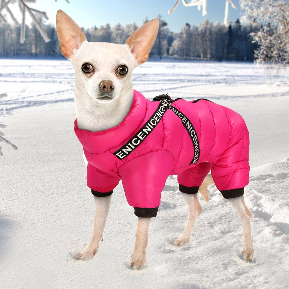 Thermora – Dog Jacket with Harness