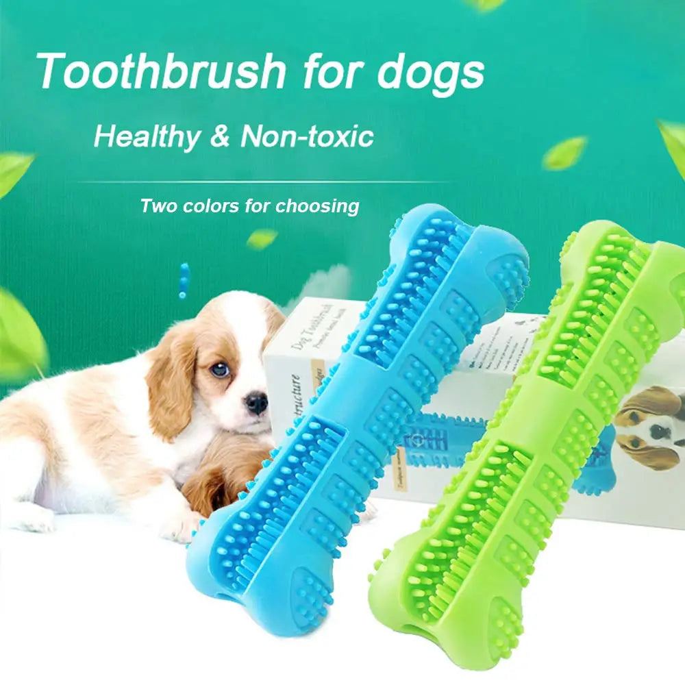 Denticlean – Healthy teeth, playful fun!
