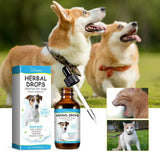 Herbal cough relief for dogs and cats. Soothes throat irritation, eases coughing, reduces sneezing, and supports immunity for healthier pets