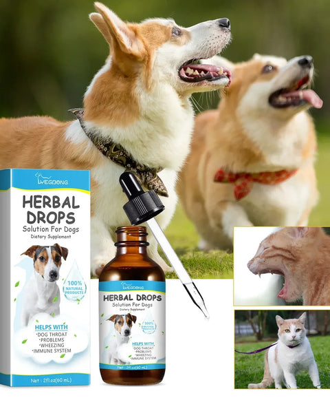 Herbal cough relief for dogs and cats. Soothes throat irritation, eases coughing, reduces sneezing, and supports immunity for healthier pets