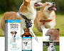 Herbal cough relief for dogs and cats. Soothes throat irritation, eases coughing, reduces sneezing, and supports immunity for healthier pets