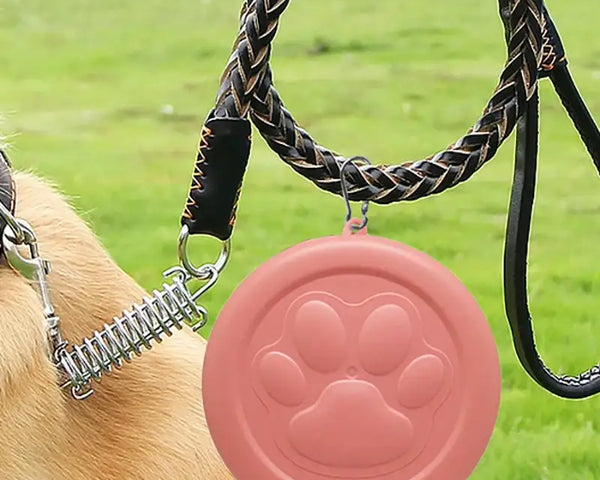 Portable pet food container for dogs and cats, durable and easy to clean, perfect for travel, outdoor walks, and feeding on the go