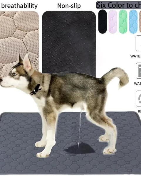 Reusable ultra-absorbent pet pee pad blanket with non-slip bottom, suitable for dogs, cats, puppies, and senior pets, hypoallergenic and machine washable.