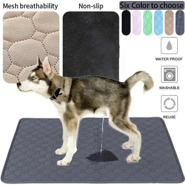 Reusable ultra-absorbent pet pee pad blanket with non-slip bottom, suitable for dogs, cats, puppies, and senior pets, hypoallergenic and machine washable.