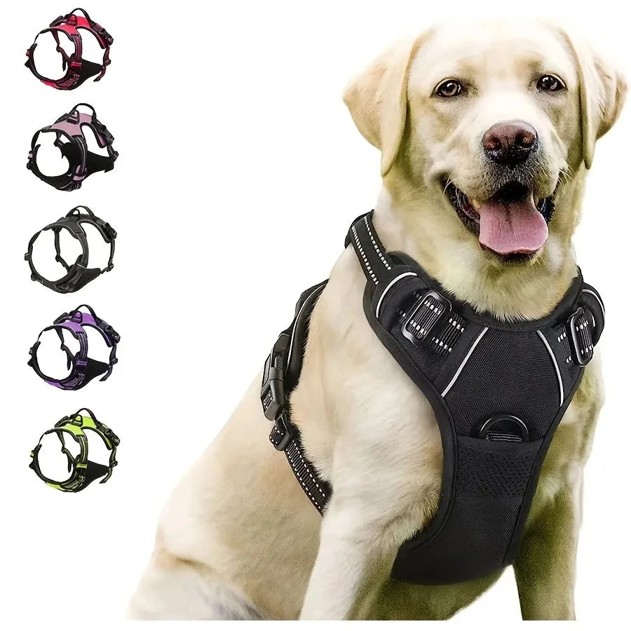 SafeTrail Harness