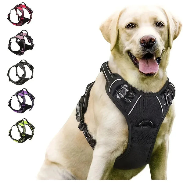 SafeTrail Harness