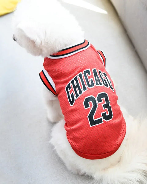 FurHoop Jersey