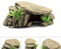 RockNest Decoration Terrace