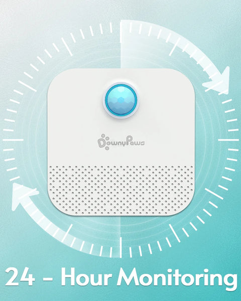 Odor Purifier