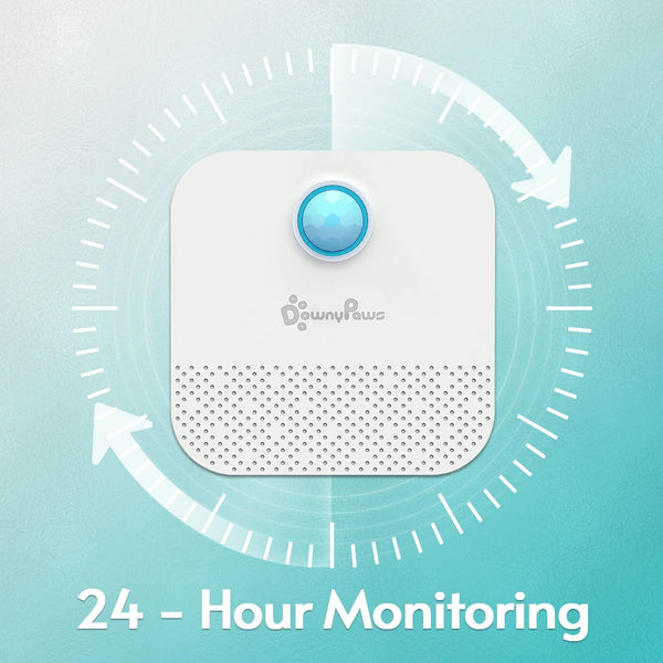 Odor Purifier