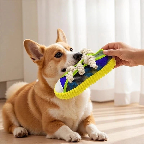 Squeaky Dog Toy Pro