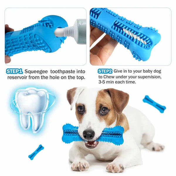Denticlean – Healthy teeth, playful fun!