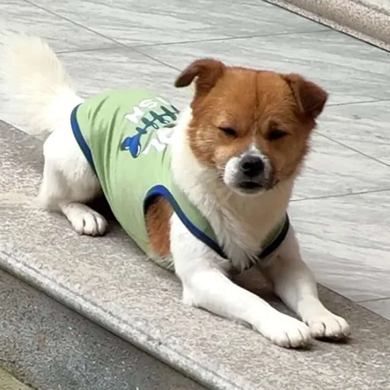 BreathPet Summer Wear