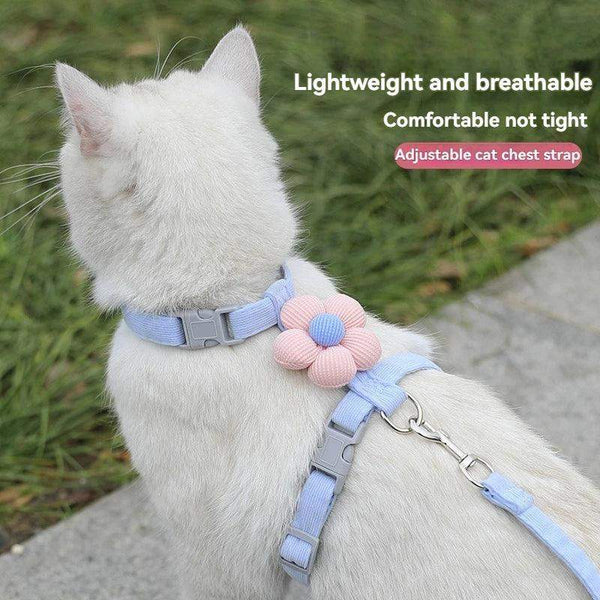WhiskerStride