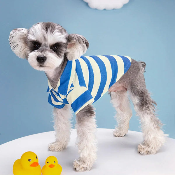 PawPolo Summer Shirt