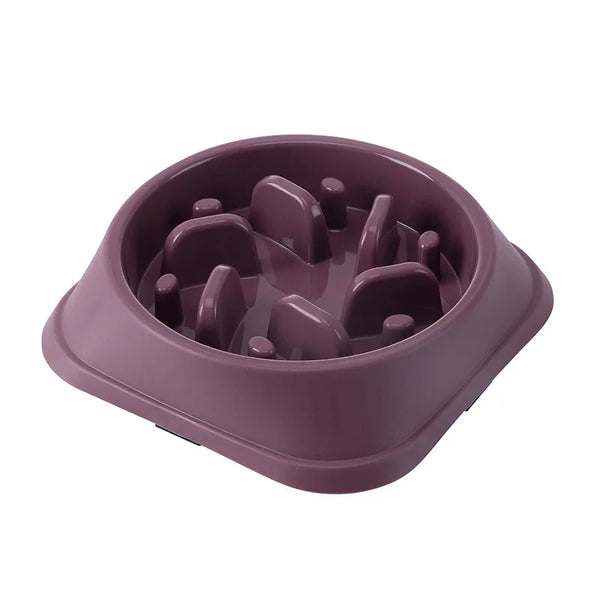 NutriMaze Bowl