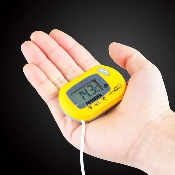 Thermaqua Digital Aquarium