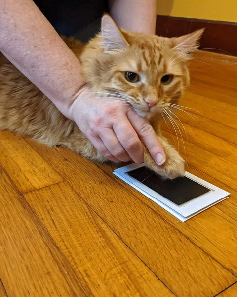 Pawtique ImprintPad