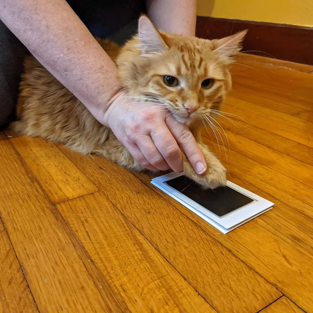 Pawtique ImprintPad