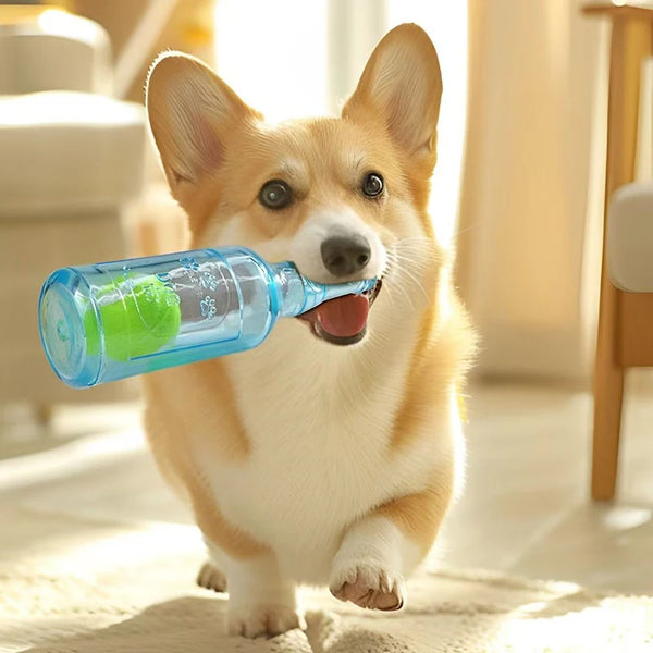 PawBottle Toy