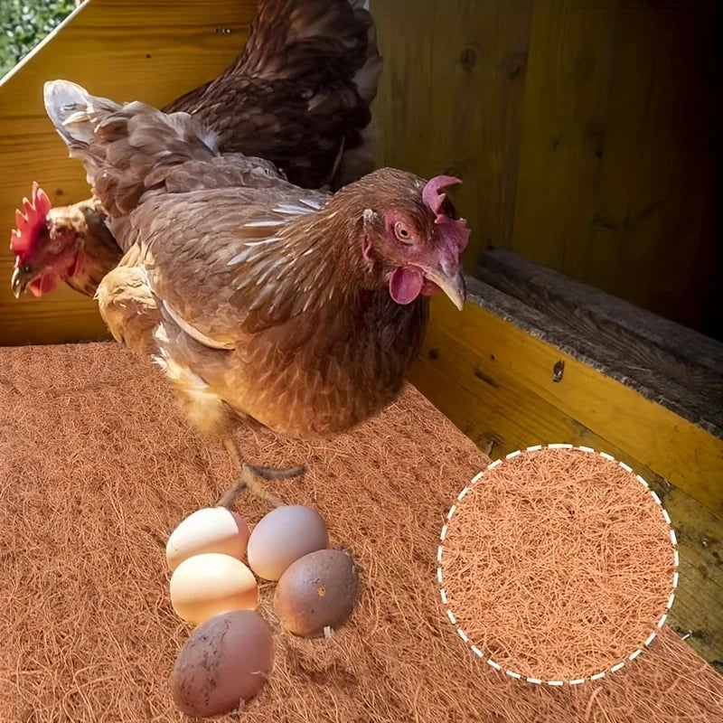 NaturEgg Coconut Coir
