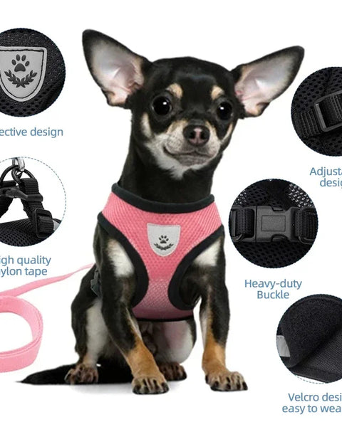 Veltra – Adjustable Pet Harness with Leash