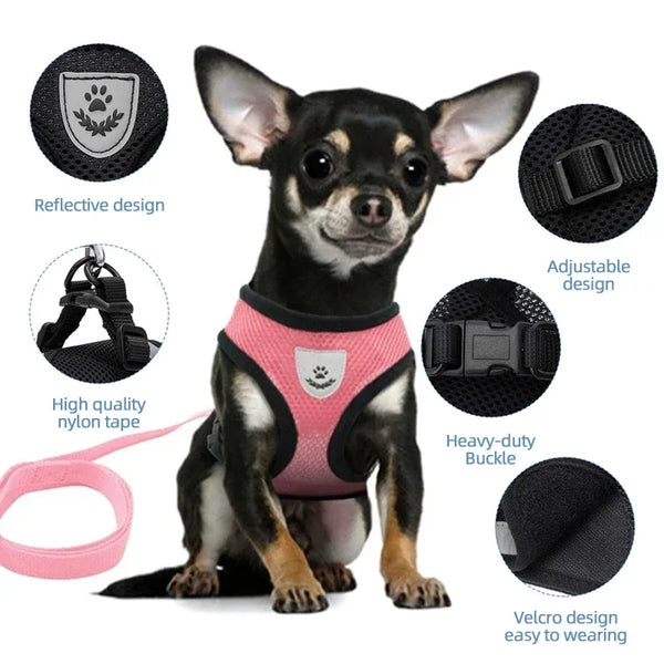 Veltra – Adjustable Pet Harness with Leash