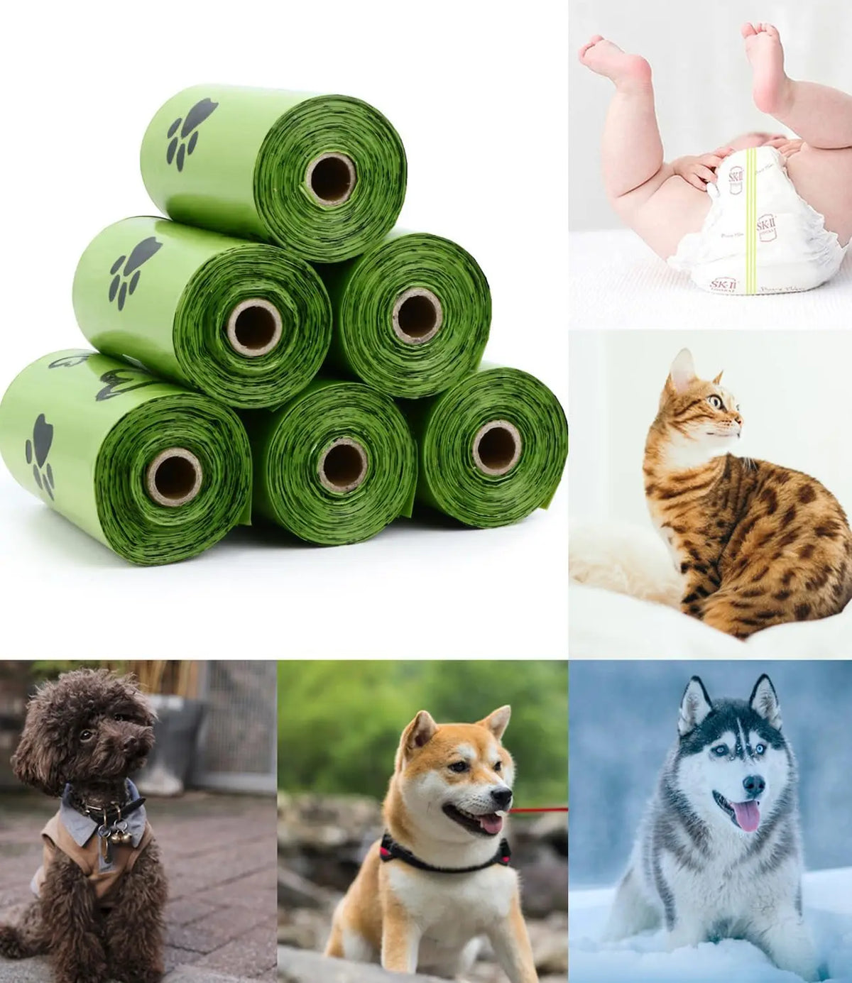 Dog Waste Bags | 15 to 900 Count