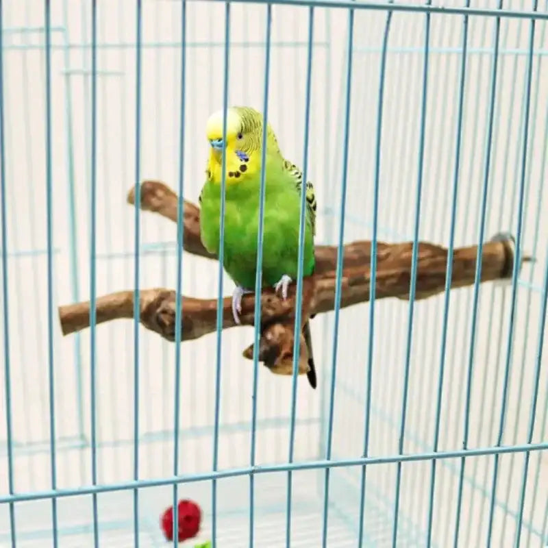 Beakwood Grape Branch