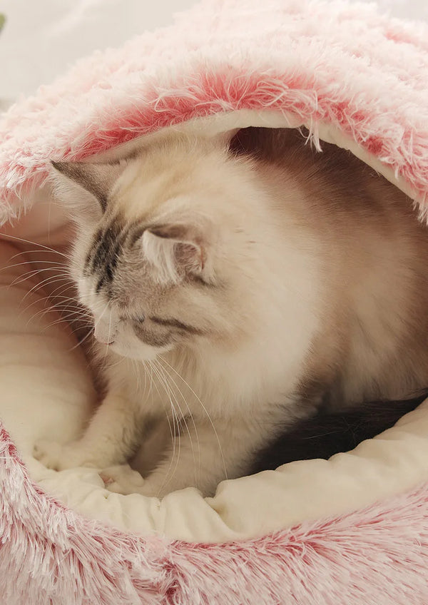 Winter Bed – Premium Model